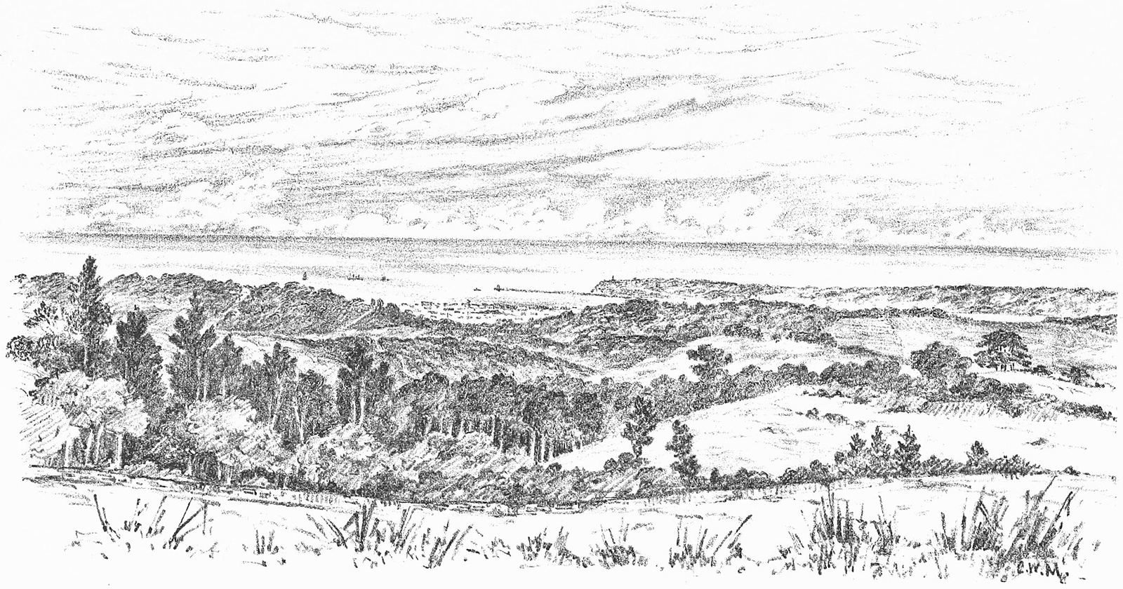 Engraving of wooded hills inland of Durban seen from the Maritzburg road, 1891