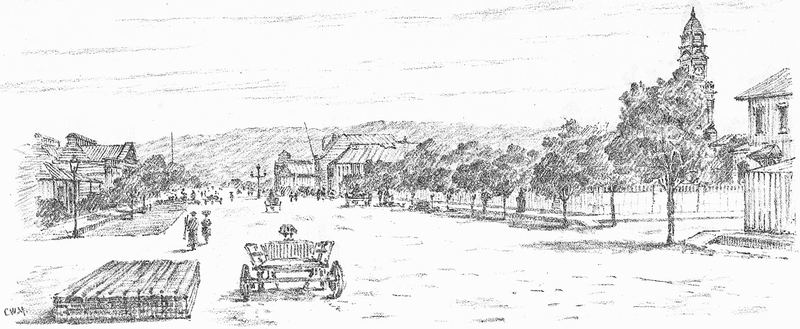 Engraving of Smith Street in central Durban, 1891